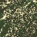 Camouflage pattern