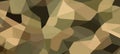 Camouflage pattern with organic shapes. Green camo texture. Backdrop. Concept of military, hunting gear, army uniform Royalty Free Stock Photo