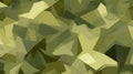 Camouflage pattern with organic shapes. Green camo texture. Backdrop. Concept of military, hunting gear, army uniform Royalty Free Stock Photo