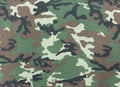 Camouflage pattern seamless for texture and background.