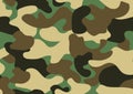 Camouflage seamless pattern. Abstract military or hunting camouflage background. Classic clothing style masking camo Royalty Free Stock Photo