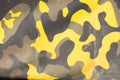 Camouflage seamless pattern.Camouflage pattern seamless for texture and background. Protection, masking. Royalty Free Stock Photo