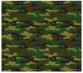 Camouflage seamless pattern. Camo background, curved wavy stripped. Military print for design, wallpaper, textile Royalty Free Stock Photo