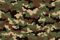 Camouflage seamless pattern. Trendy style camo, repeat print. Vector illustration. texture, military army green hunting
