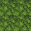 Camouflage seamless wallpaper with marijuana green abstract leaves on dark background