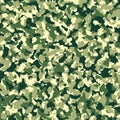 Camouflage texture