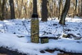 Camouflage thermos with hot tea or coffee in the forest, outdoors in the snow