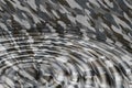 Camouflage water ripples