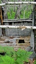 Abandoned log fortifications in a birch forest