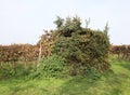 camouflaged hunting cabin of hunters on the hill in autumn Royalty Free Stock Photo