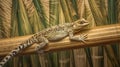 Camouflaged lizard on bamboo background Royalty Free Stock Photo