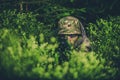 Camouflaged Poacher at Hunt Royalty Free Stock Photo