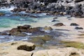 A Green Sea Turtle lying in the shallow water of the Pacific Ocean at Hookipa Beach in Maui, Hawaii Royalty Free Stock Photo