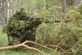 Camouflaged sniper in the forest Royalty Free Stock Photo