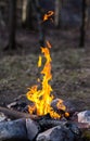 Camp bonfire with big flames in dusk