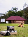 Camp and Cooking rice from pot on picnic stove or portable gas stove. And have a dog sitting and waiting while cooking rice Royalty Free Stock Photo
