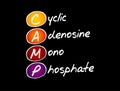 CAMP - Cyclic Adenosine MonoPhosphate acronym