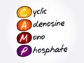 CAMP - Cyclic Adenosine MonoPhosphate acronym, concept