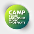 CAMP - Cyclic Adenosine MonoPhosphate acronym, medical concept background