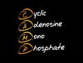 CAMP - Cyclic Adenosine MonoPhosphate acronym