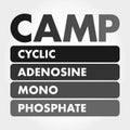 CAMP - Cyclic Adenosine MonoPhosphate acronym