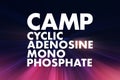 CAMP - Cyclic Adenosine MonoPhosphate acronym, medical concept background