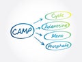 CAMP - Cyclic Adenosine MonoPhosphate acronym, medical concept background