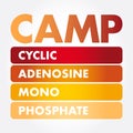 CAMP - Cyclic Adenosine MonoPhosphate