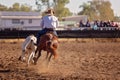 Camp Draft Event , Rounding Up Cattle - Unique To Australia Royalty Free Stock Photo