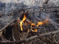Camp Fire Royalty Free Stock Photo