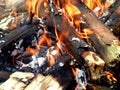 Camp fire Royalty Free Stock Photo