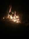 Camp fire Royalty Free Stock Photo