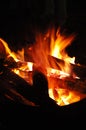 Camp fire Royalty Free Stock Photo