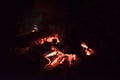 Camp fire , bonfire burning in dark Royalty Free Stock Photo