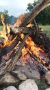Camp fire burning. Close up view. Green grass and trees on the background. Royalty Free Stock Photo