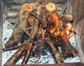 Camp fire with burning dry branches pile. A pile of sawed firewood for heating in winter. Stockpile of firewood during the energy