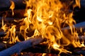 Fire flames. Camp fire. Royalty Free Stock Photo