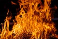 Fire flames. Camp fire. Royalty Free Stock Photo