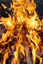 Fire flames. Camp fire. Royalty Free Stock Photo