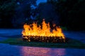 Camp fire burning wood Royalty Free Stock Photo