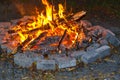 Camp fire Royalty Free Stock Photo