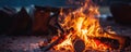 camp fire close up AI generated Royalty Free Stock Photo