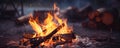 camp fire close up AI generated Royalty Free Stock Photo