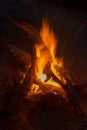 Camp fire close up on the last day of kayak camping Royalty Free Stock Photo