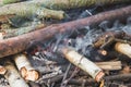 Camp Fire close-up Royalty Free Stock Photo