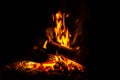 Camp fire in dark background, Fire from Burning wood Royalty Free Stock Photo