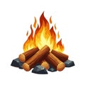 Camp fire flame vector isolated on white background Royalty Free Stock Photo