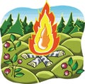 Camp fire in forest Royalty Free Stock Photo