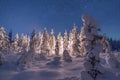 Camp fire in forest in Lapland Royalty Free Stock Photo