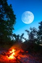 Camp fire in a forest at the twilight under a huge moon